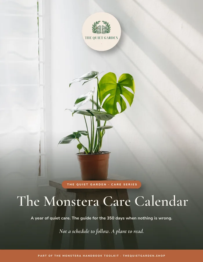 The Monstera Care Calendar