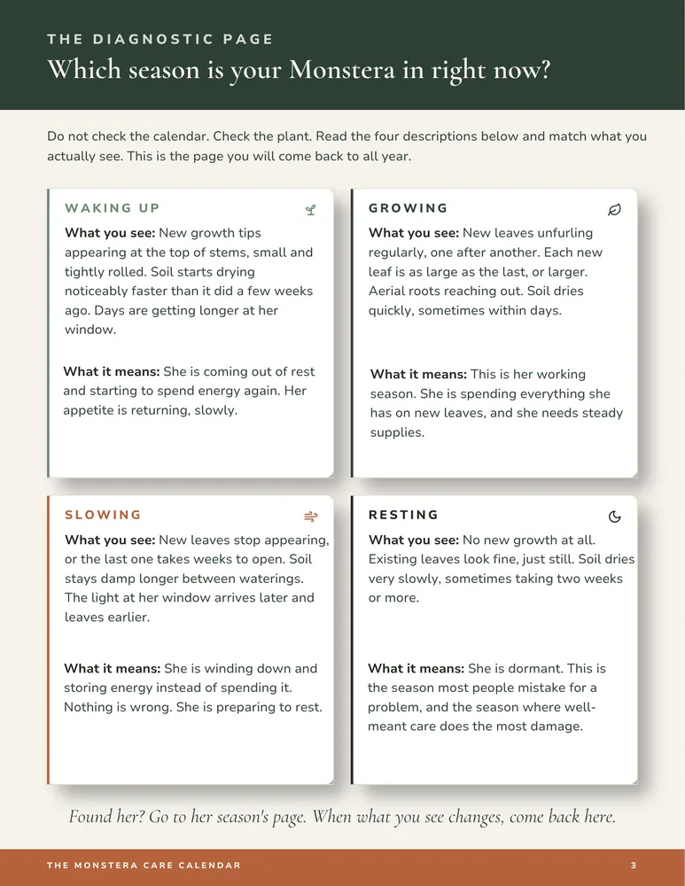 The first page of The Care Calendar