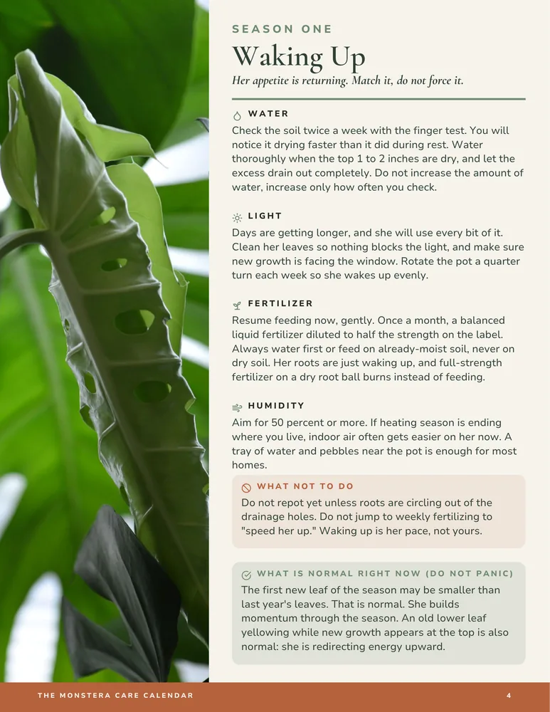 A seasonal watering page from The Care Calendar